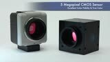 Mighty Cam USB Cameras From Aven
