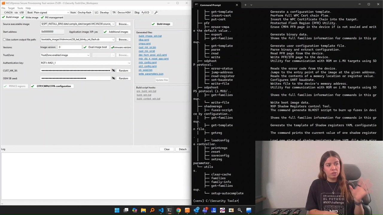 Parallel Programming of Multiple Devices