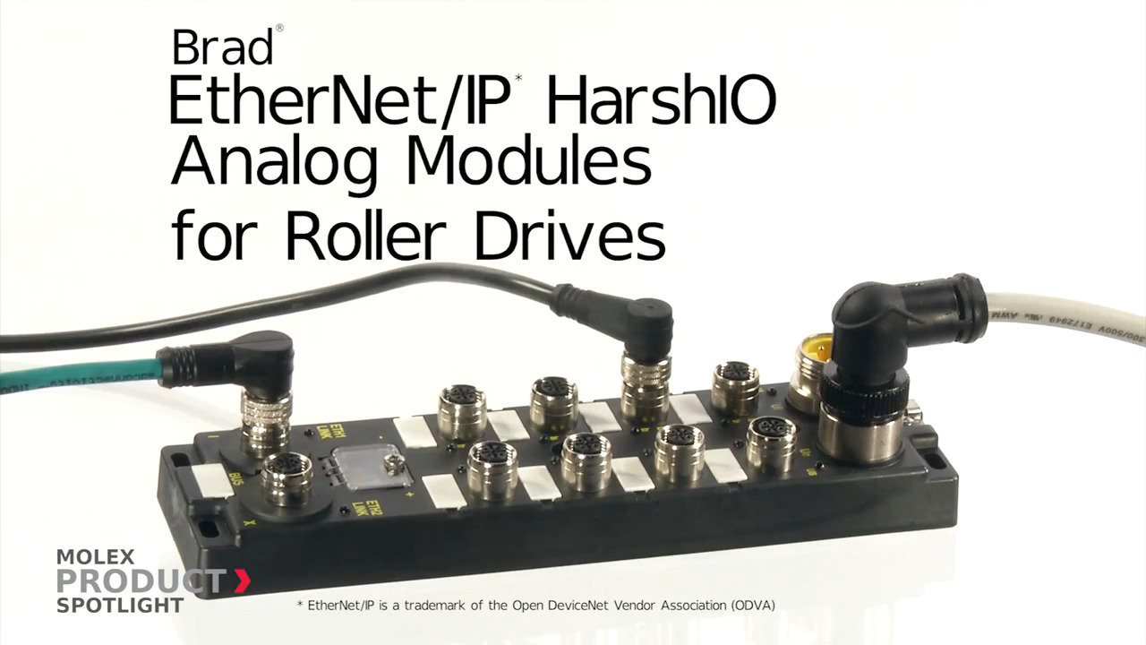 Molex - Brad® EtherNet/IP* for Roller Drives