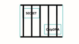 Learn how ChipDNA™ physically unclonable function (PUF) technology keeps your secrets safe Learn how ChipDNA™ physically unclonable function (PUF) technology keeps your secrets safe