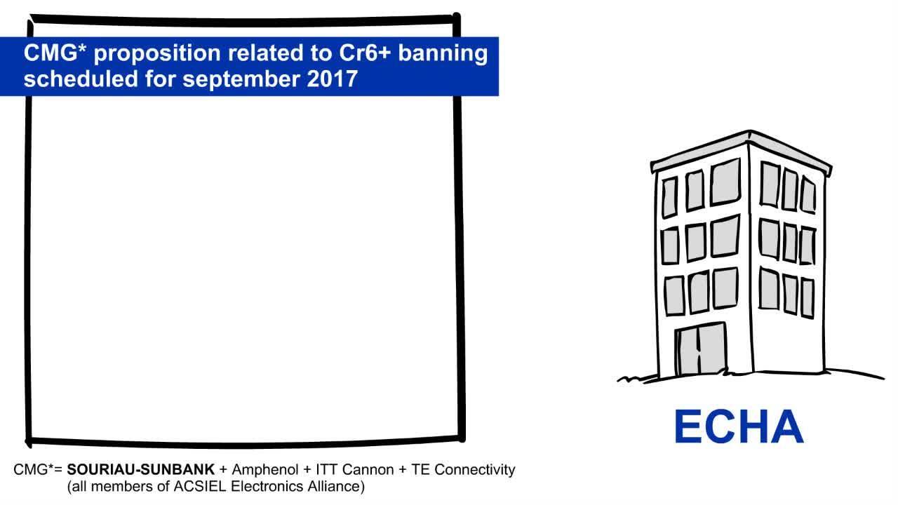 Cr6+ Banning &amp; CMG's Demand of Authorization to ECHA