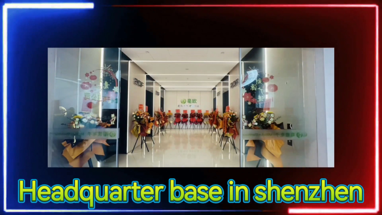 Shenzhen Milliohm Electronic Introduction
