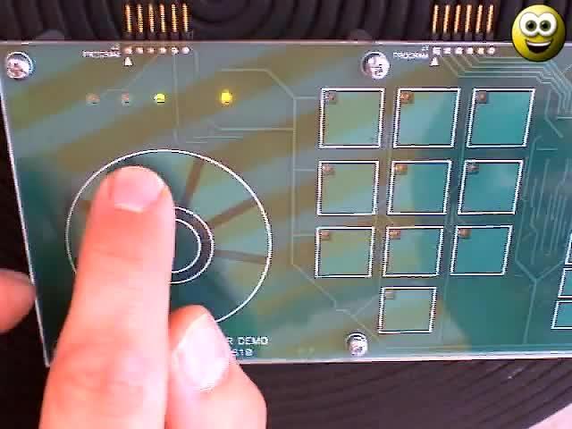 Microchip mTouch Capacitive Touch Demonstration