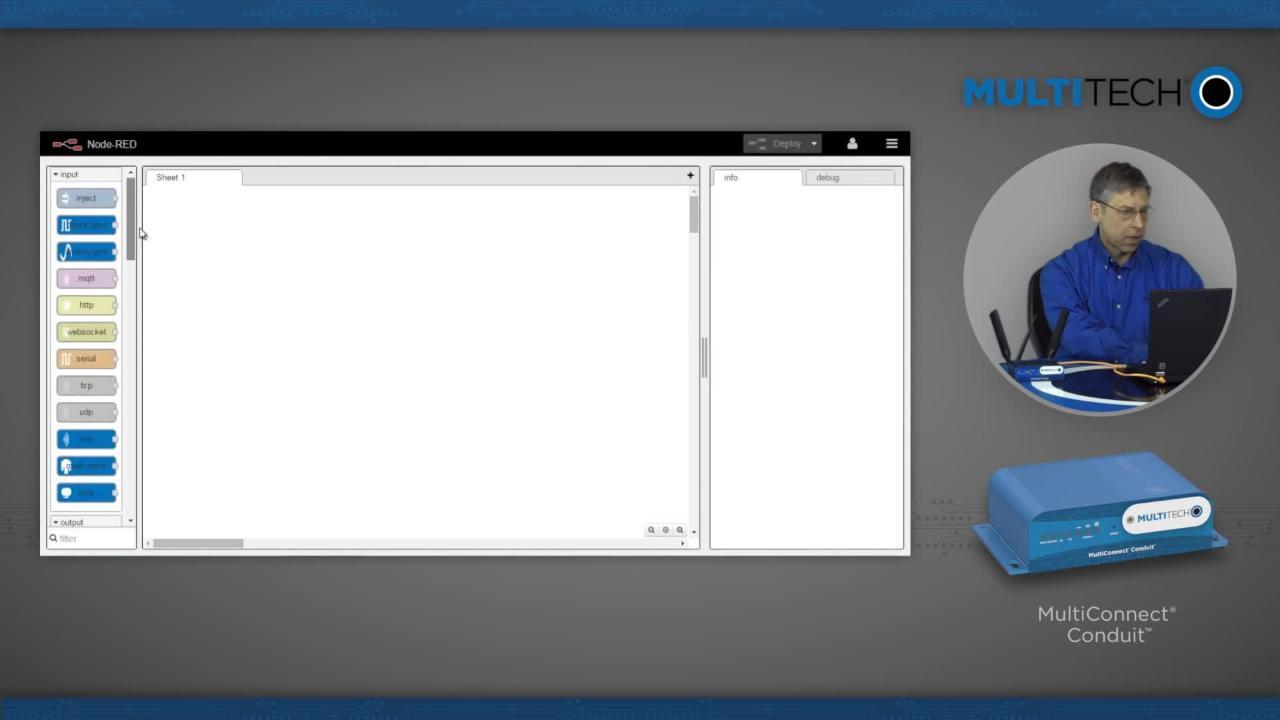 MultiTech MultiConnect® Conduit™ AEP