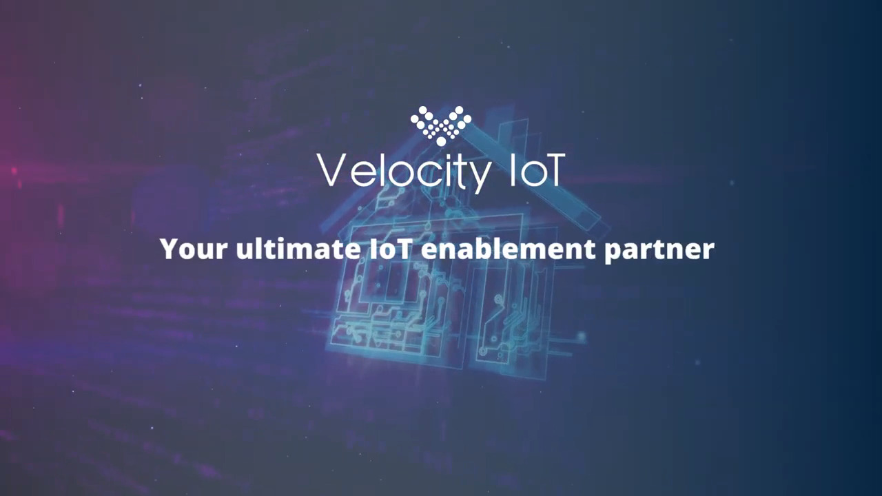 Velocity IoT - VIoT-Flex Multiple Carriers