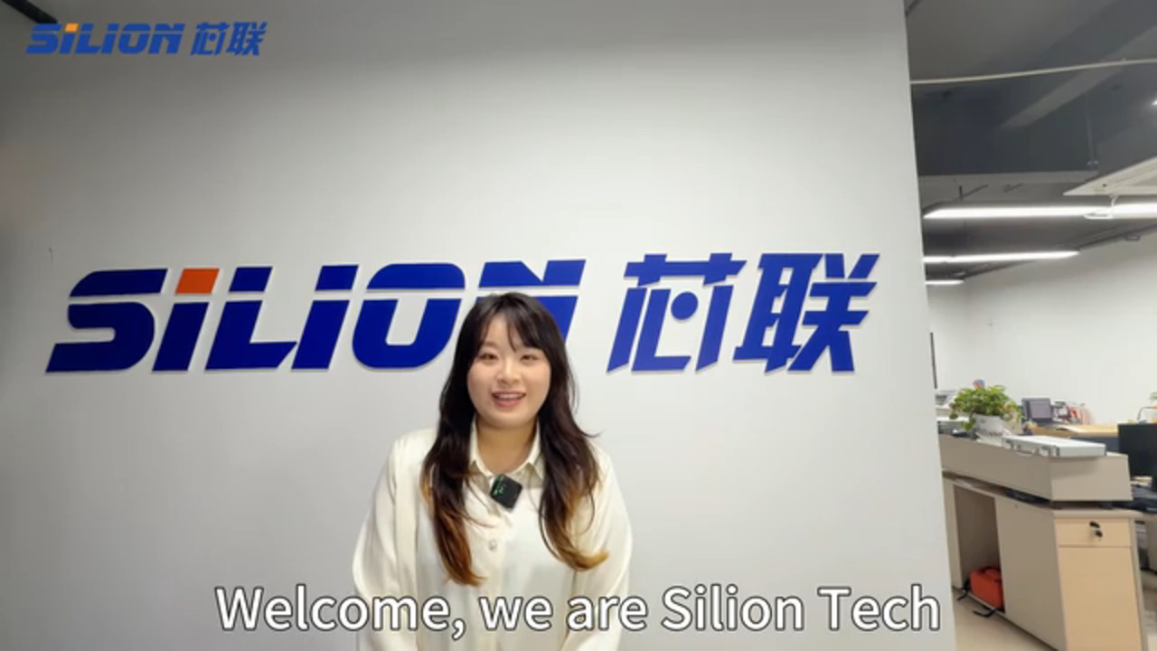 Silion Company Introduction
