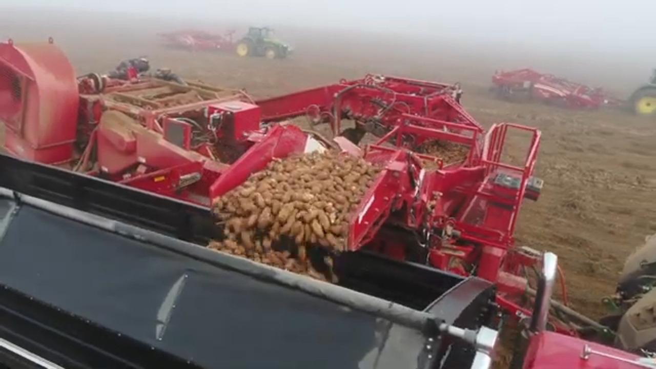 Power Offboarding: Revolutionizing Potato Harvesting with HARTING