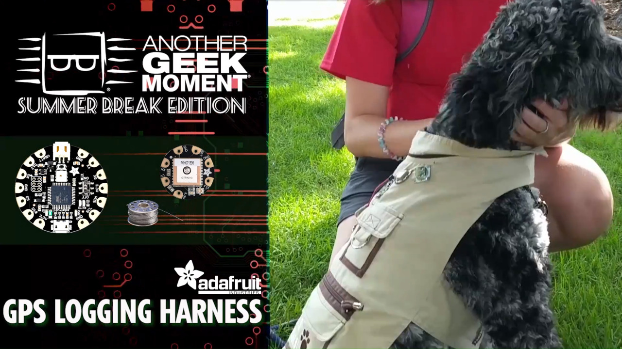 GPS Logging Dog Harness – AGM Summer Break | DigiKey