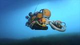 Cicoil and Harsh Environments Cicoil and Harsh Environments