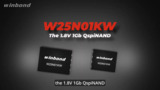 Winbond QspiNAND Flash W25N01KW