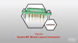 Gecko-MT Mixed Layout Connector | Datasheet Preview Gecko-MT Mixed Layout Connector | Datasheet Preview