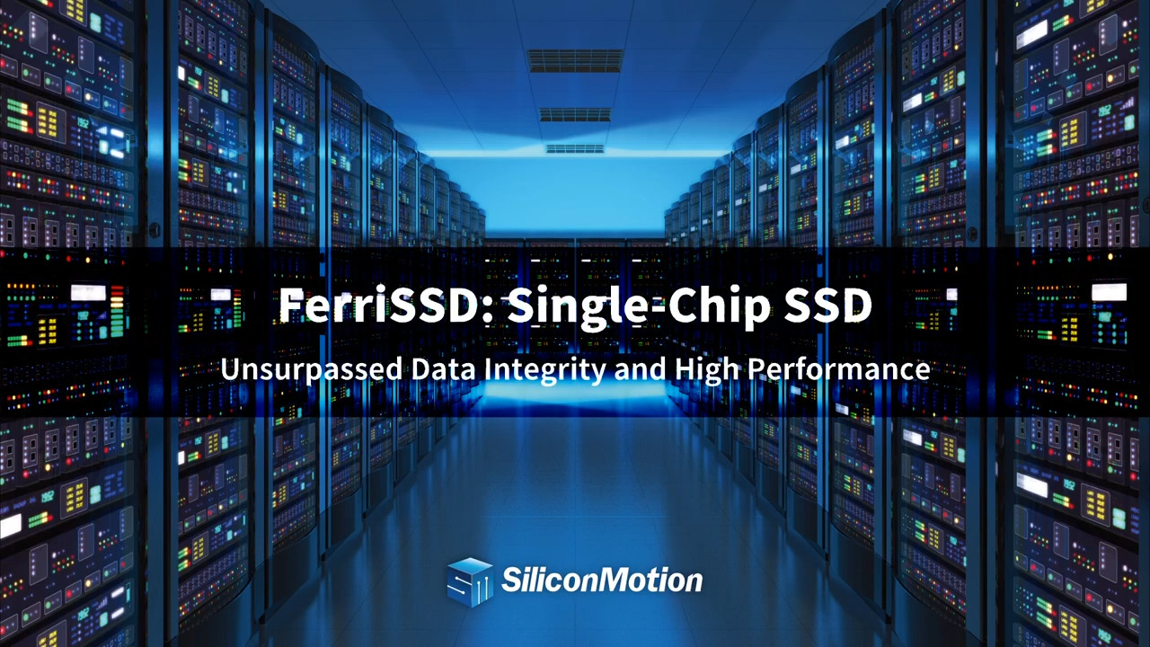 FerriSSD Single-Chip SSD
