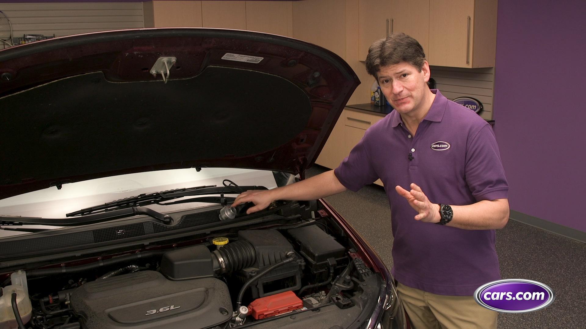 5 Proven Tricks To Mouse-Proof Your Car And Garage