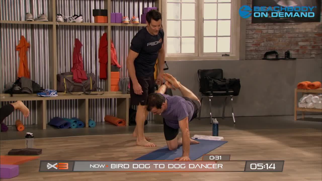 Exercise Tutorial: Bird Dog