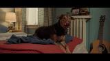 Dog's Way Home, A