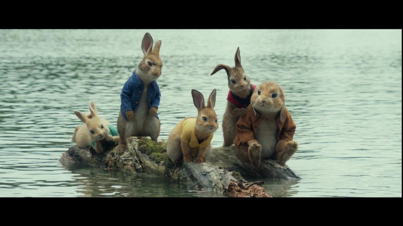 Peter Rabbit 2 – Films sur Google Play