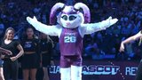Tempo unveil new mascots Dez and Dot at game vs. Fever