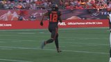 McInnis takes off for 82-yard touchdown on Lions’ flea flicker play