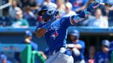A deep dive into the top prospects currently with the Dunedin Blue Jays