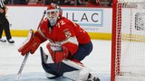 How would potential Bobrovsky signing impact rest of Leaf goaltenders?