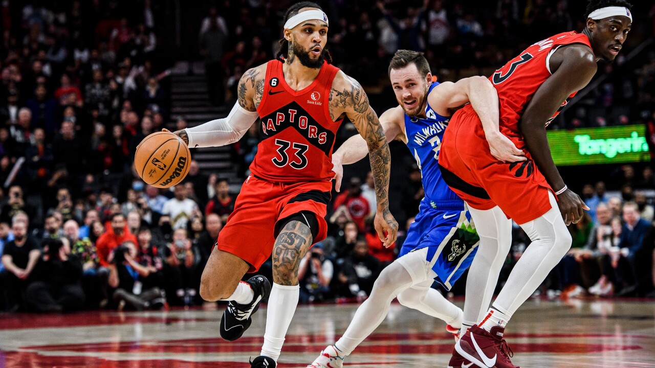 Wilson NBA Toronto Raptors Dribbler Ball