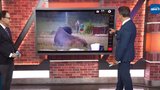 Mets broadcast breaks down viral Yellowstone bison incident during delay