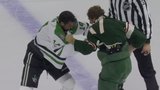 Stars, Wild drop the gloves in chaotic final minute