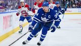 What are realistic goals for the Maple Leafs this season?