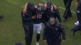 Bears’ Williams helped off field after suffering apparent lower-body injury