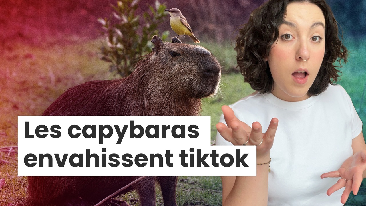 Revenge porn : elle poursuit son ex pour 6 milliards $US | 24 heures