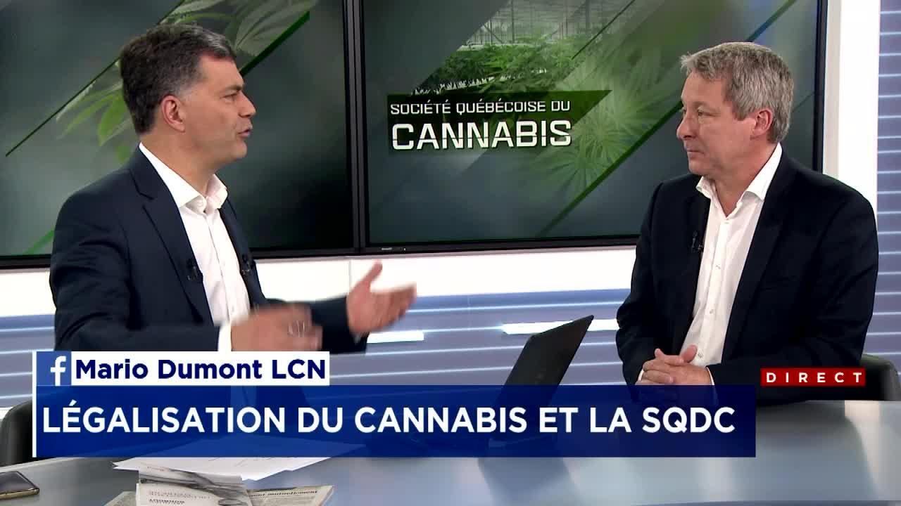 Cannabis Voici Comment S Informer Sur Les Futures Offres D Emploi Tva Nouvelles