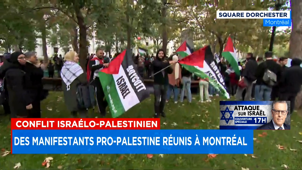 Rassemblement pro-Palestine: des manifestants refusent de condamner le Hamas  | TVA Nouvelles