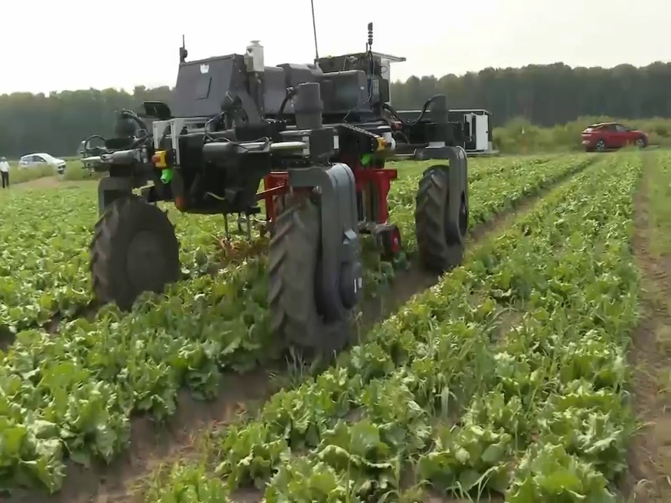 Tracteur de la ferme