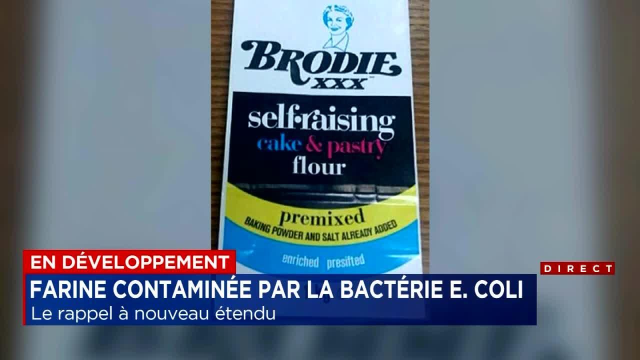 Le rappel de farine contamin e par la bact rie E. coli nouveau tendu Explications