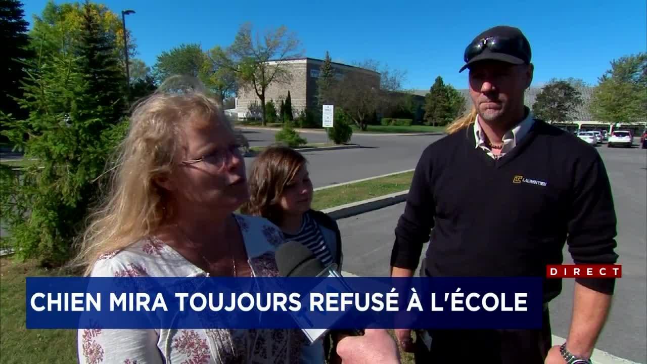 Un chien du0027assistance toujours interdit à lu0027école: notre reportage