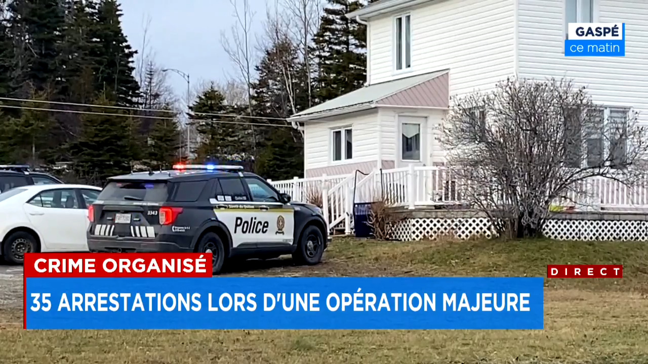Opération contre les gangs criminalisés: 35 arrestations et 15  perquisitions à travers le Québec | JDQ