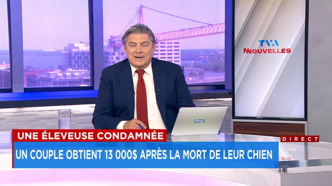 Vidéos et bulletins de nouvelles | TVA Nouvelles