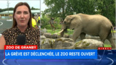 Zoo de Granby : la grève est déclenchée, le zoo reste ouvert -  Explications 