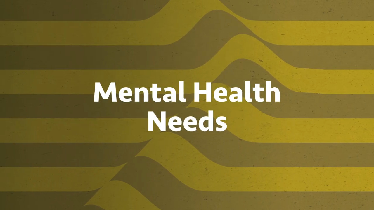 thumbnail for Mental Health Needs