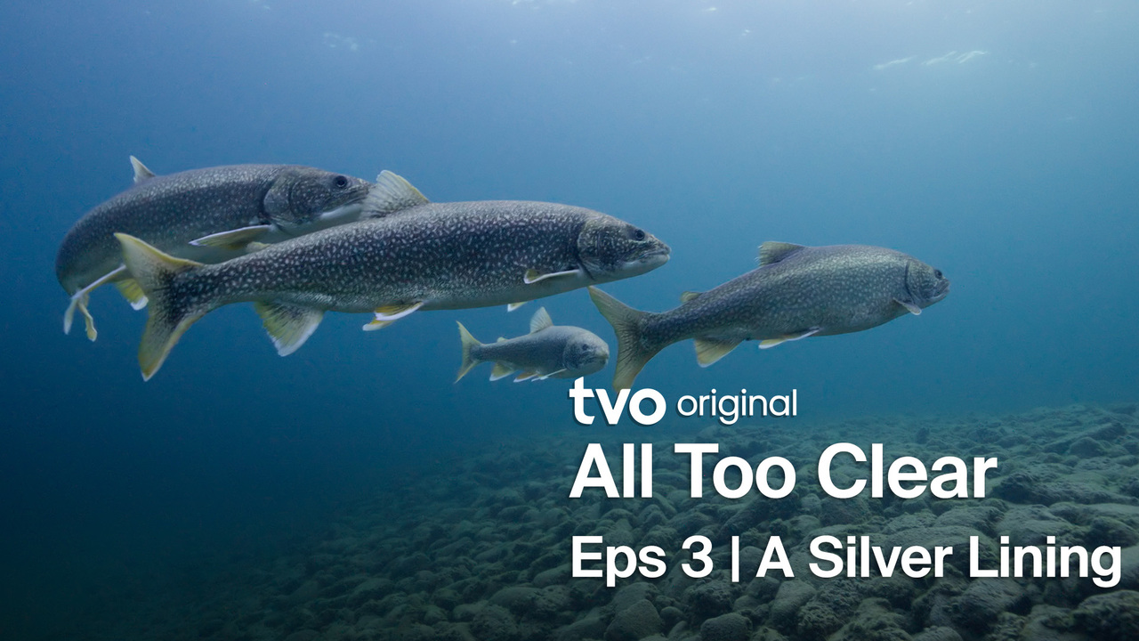 A Silver Lining | TVO Today