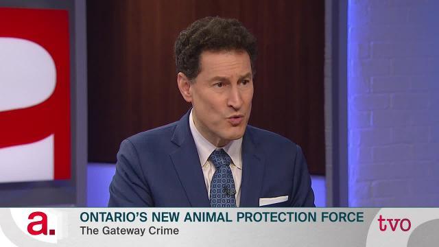 Ontario's New Animal Protection Force | TVO Today