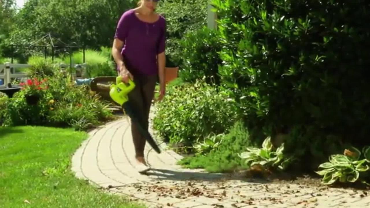 Sun Joe 155 MPH 200 CFM 6 Amp Electric Handheld Leaf Blower