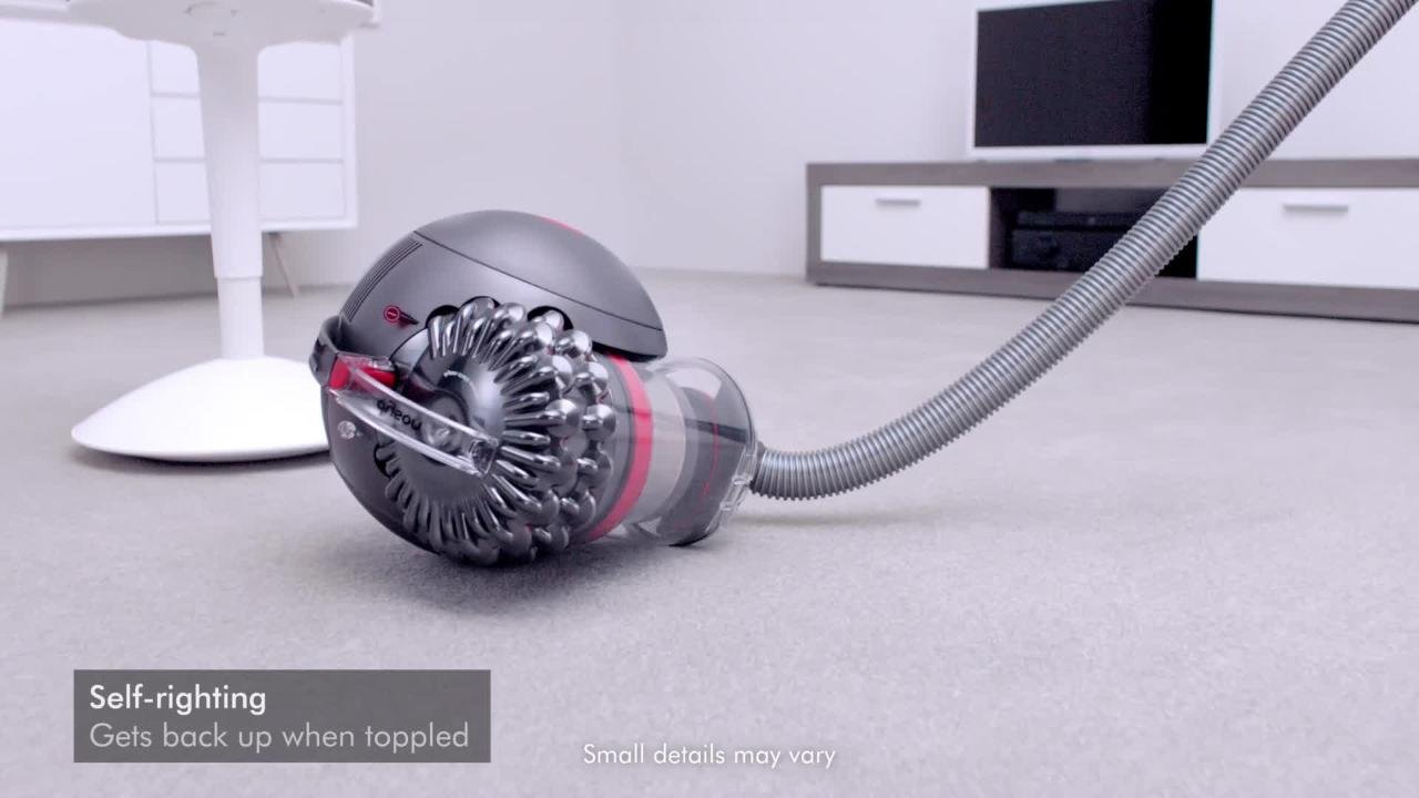 Dyson Big Ball Multi Floor Canister 