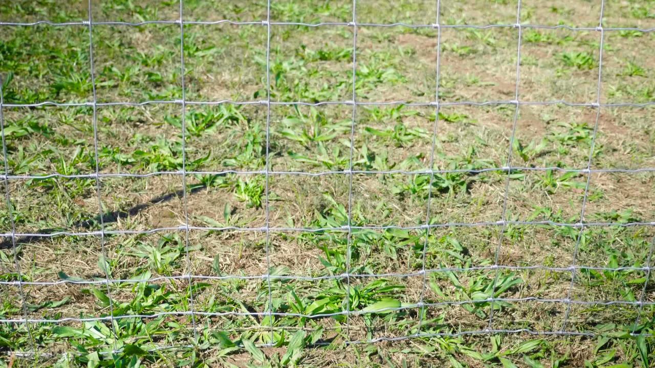 47 in. x 330 ft. Galvanized Steel Class 1 Coating Field Fence