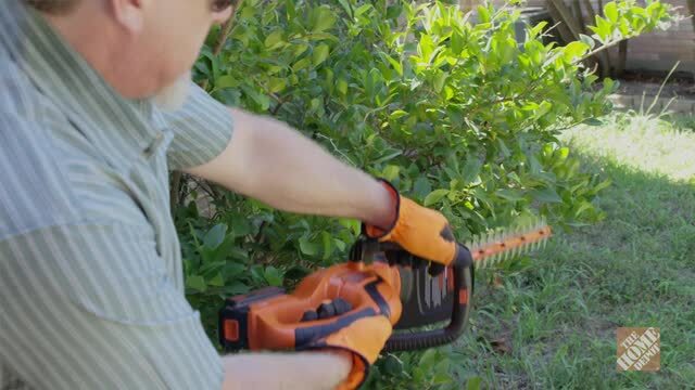 20V MAX Cordless Battery Powered Hedge Trimmer Kit with 1 1.5Ah Battery Charger