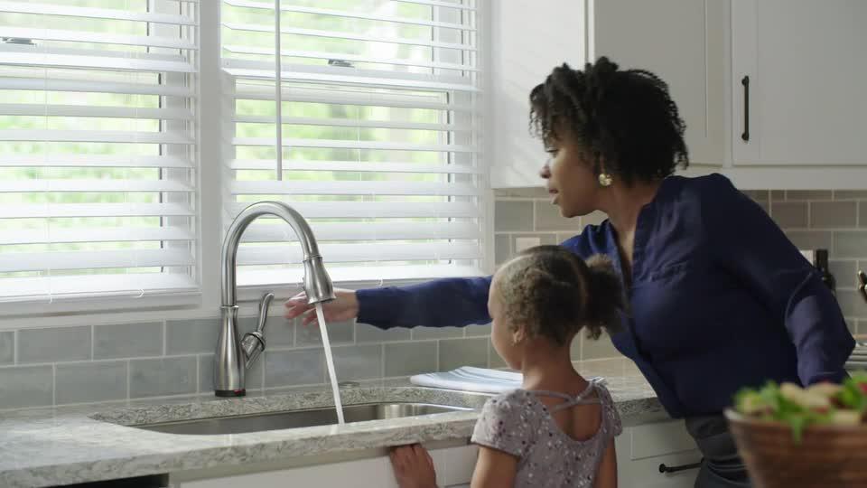 Delta Leland Single-Handle Pull-Down Sprayer Kitchen Faucet with