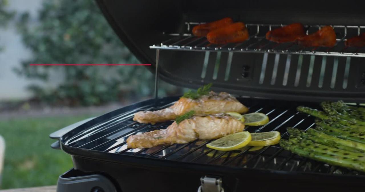 How to use a Smoker Box on a Gas Grill - Grilling Grandma