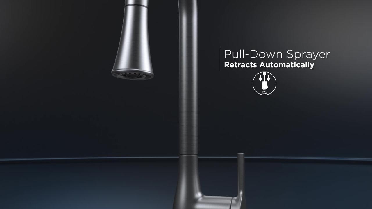 Classic Series Single-Handle Pull-Down Sprayer Kitchen Faucet in Matte Black Classic Series Single-Handle Pull-Down Sprayer Kitchen Faucet in Matte Black