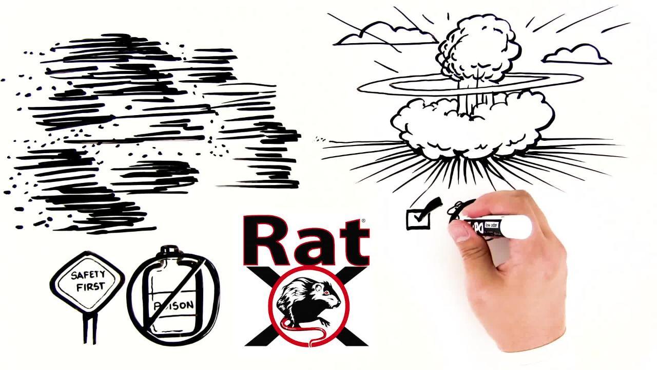 Rotech Rascal Rat Bait Box - (pk10)