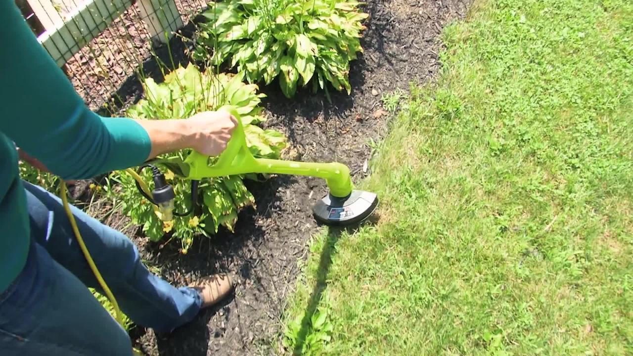 Electric String Trimmer 10 in 2.5 amp Lightweight Weed Wacker Grass Care 